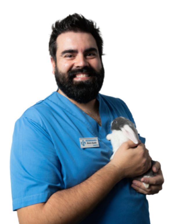 ÁLVARO AYUELA ÁLVARO AYUELA