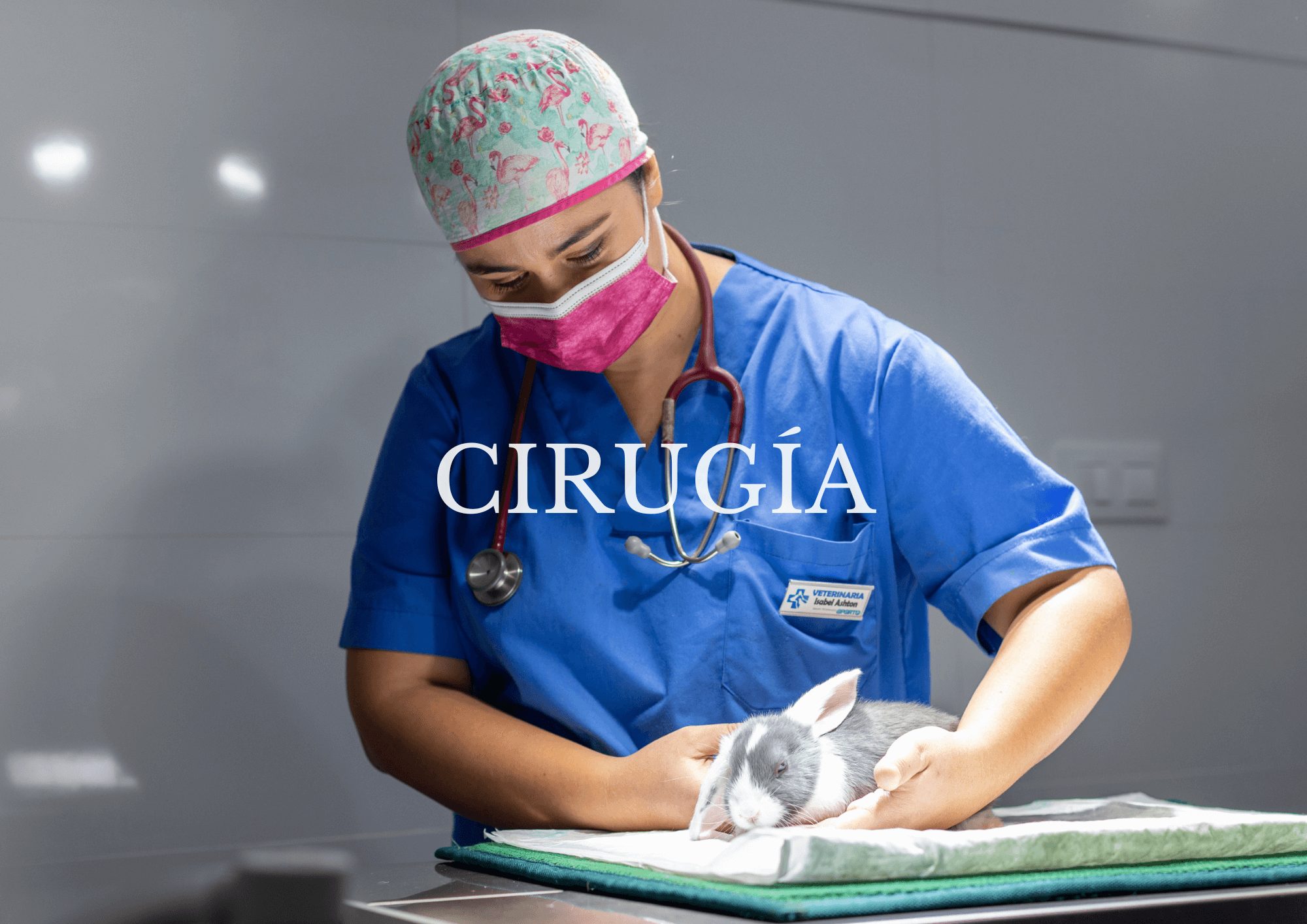 Cirugía Cirugía