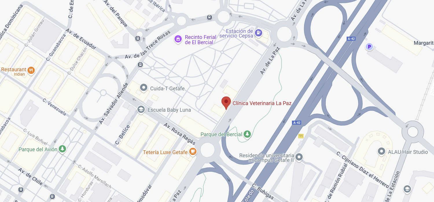 Clinica veterinaria La Paz Getafe