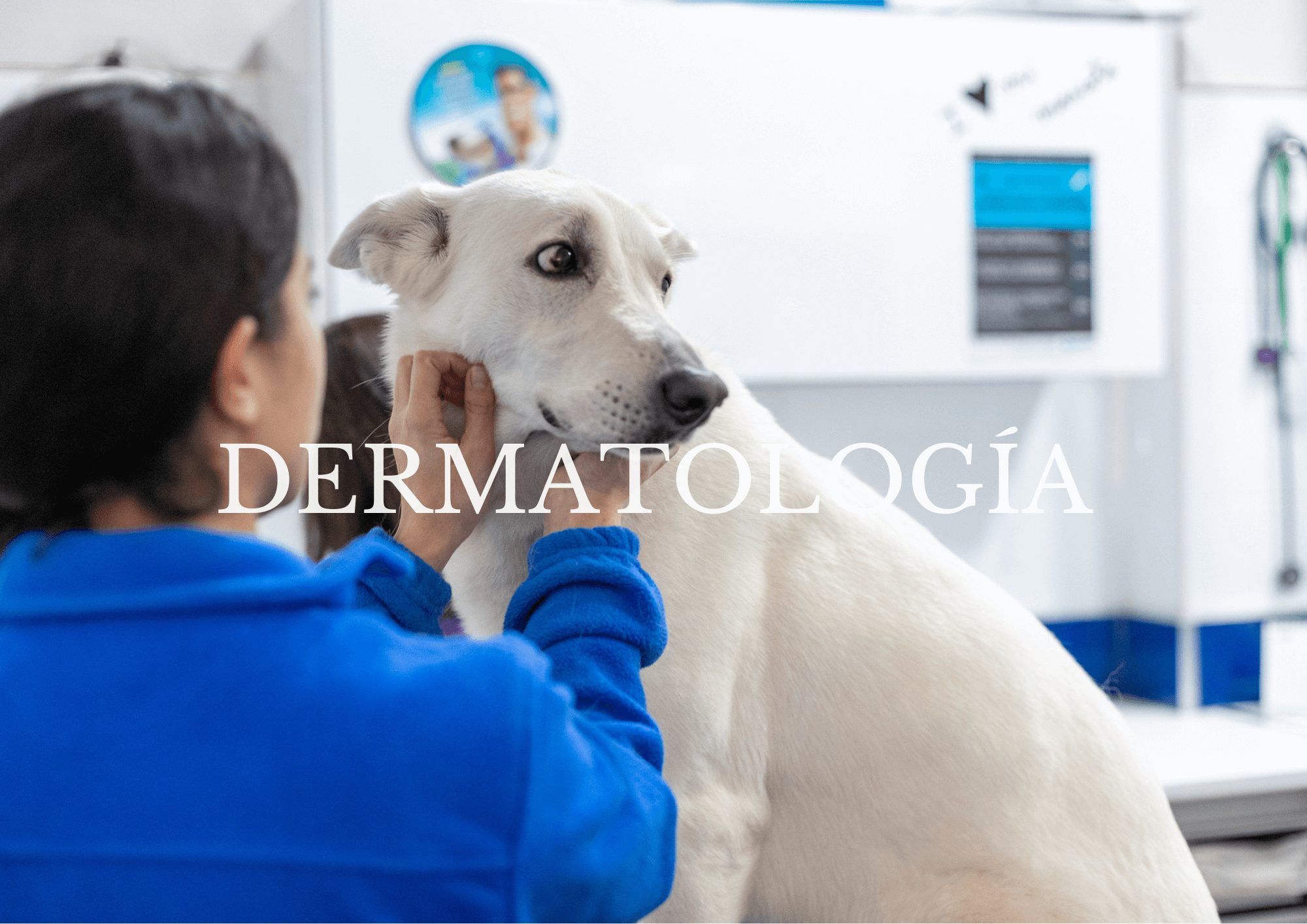 Dermatología Dermatología