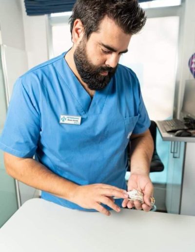 Medicina interna en aves