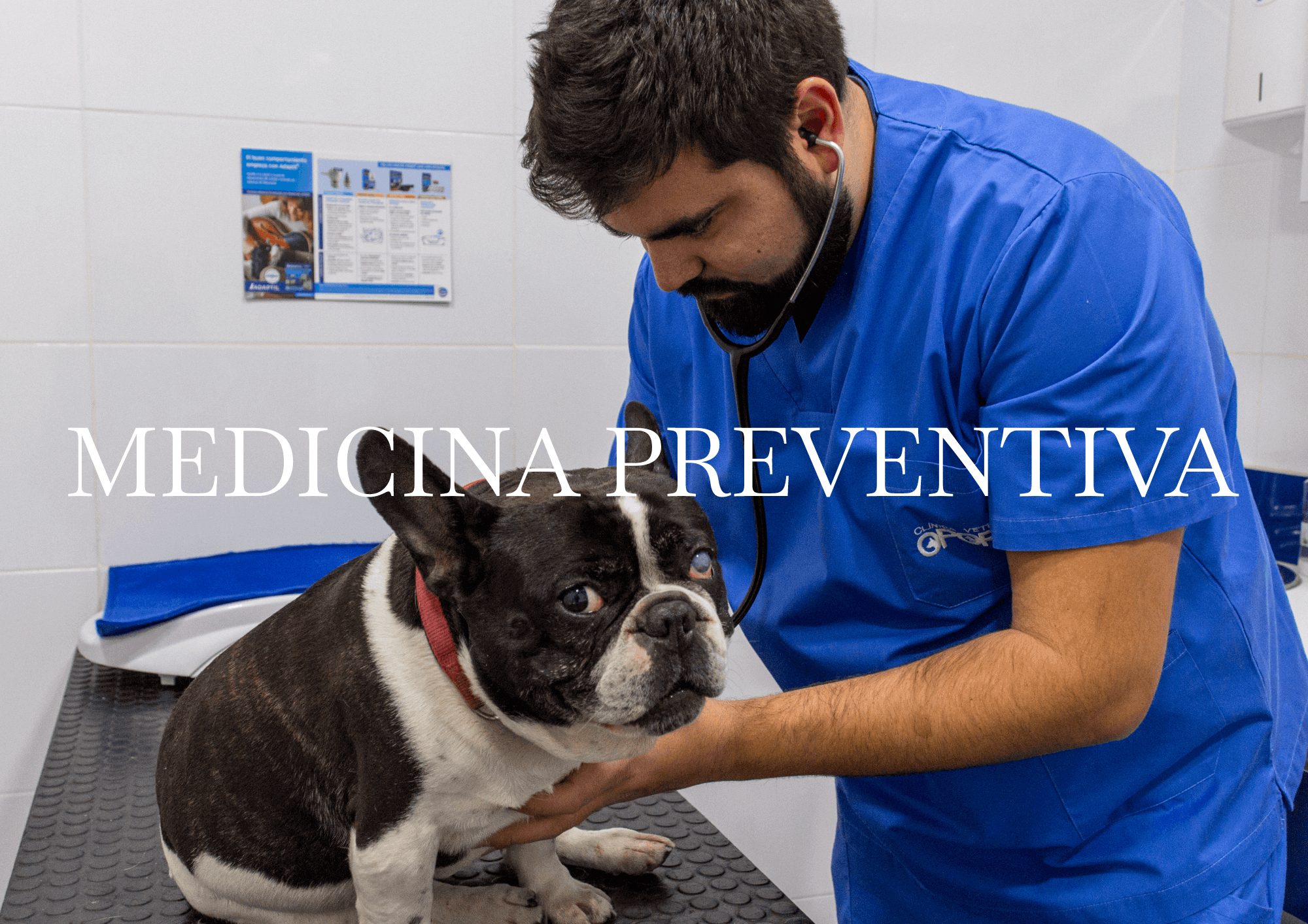 Medicina preventiva Medicina preventiva