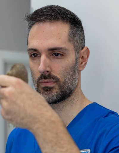 Medicina interna en aves