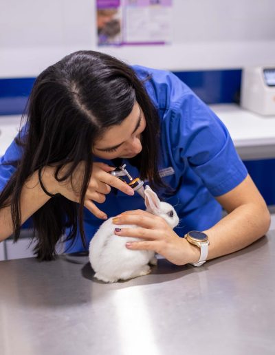Medicina interna en animales exóticos
