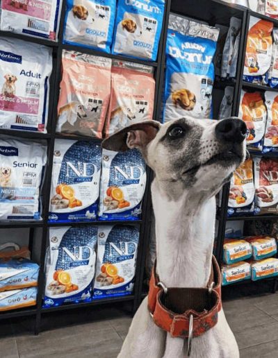 Alimentación, suplementos y Manila