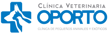 cv-oporto-transparente