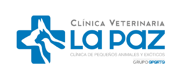 la-paz-transparente-1-1