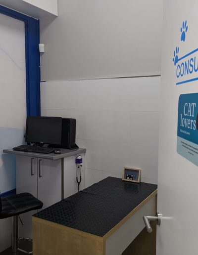 Consulta cat friendly